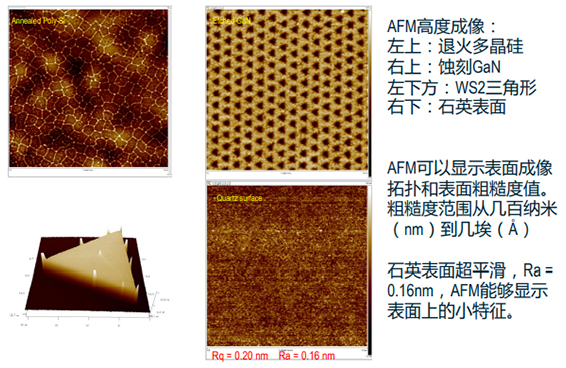 原子力显微镜 (AFM)
