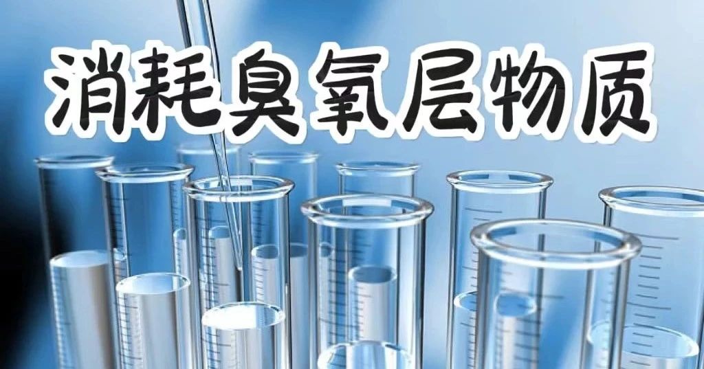 微信图片_20240117165138.jpg